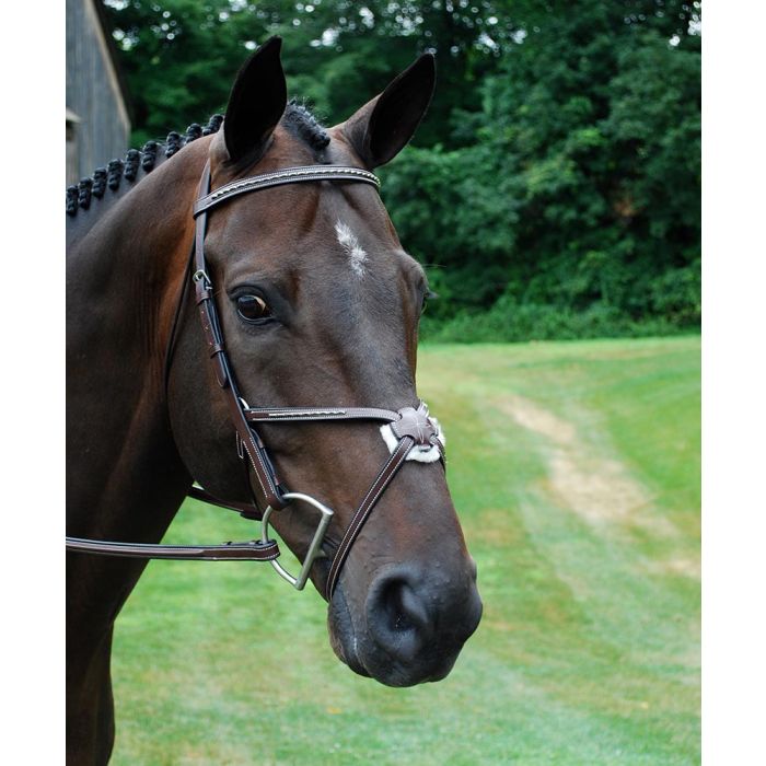 Red Barn Matrix Figure 8 Bridle w/ Rubber Reins