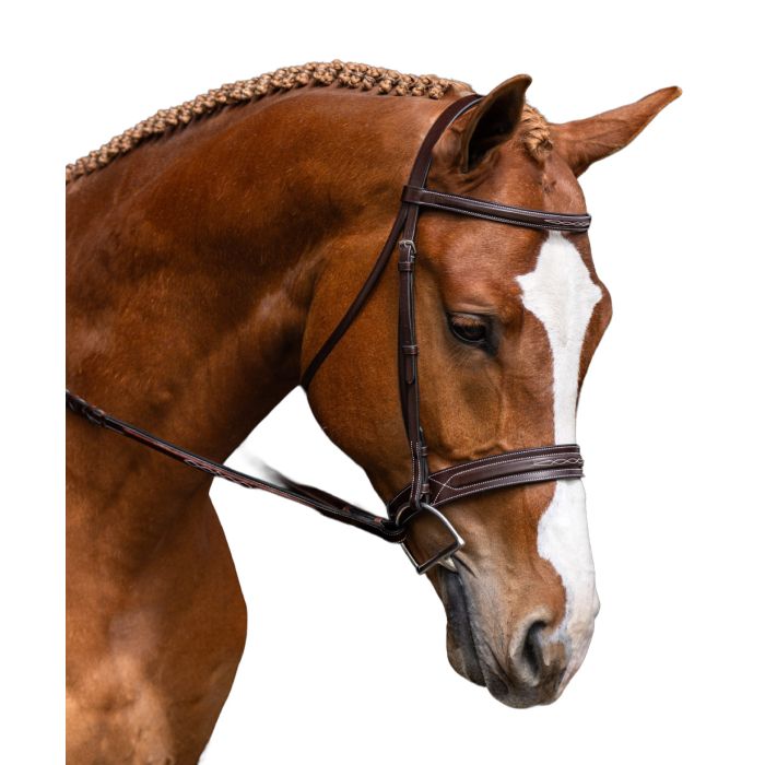 Red Barn Hudson Fancy Stitch Square Raised Wide Noseband Bridle