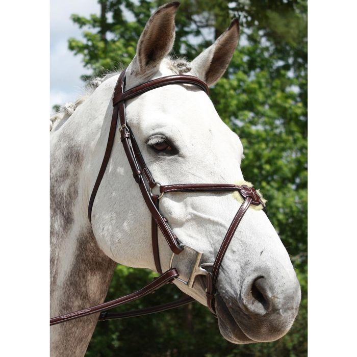 Red Barn Equinox Figure 8 Bridle