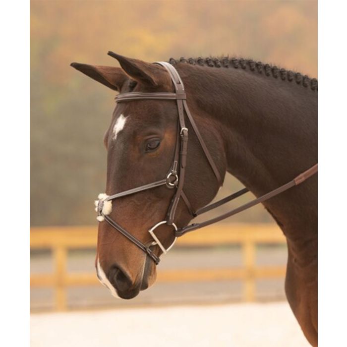 Black Oak Cedar Padded Fancy Raised Figure 8 Bridle with Raised Reins