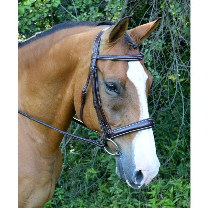 Ocala Tapered Fancy Raised Padded Bridle with Unicrown Headstall