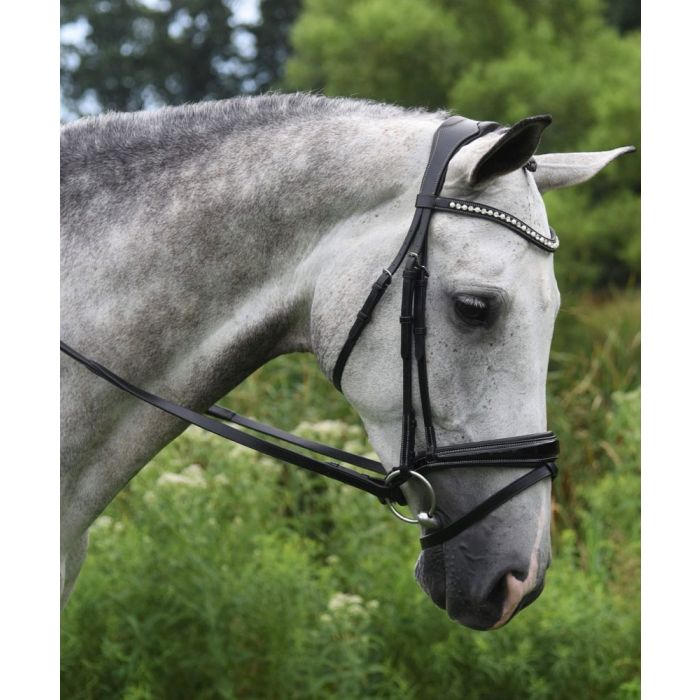 KL Select Red Barn Pace Dressage Bridle