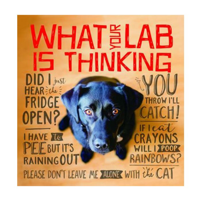 Book: What A Labs Thinking