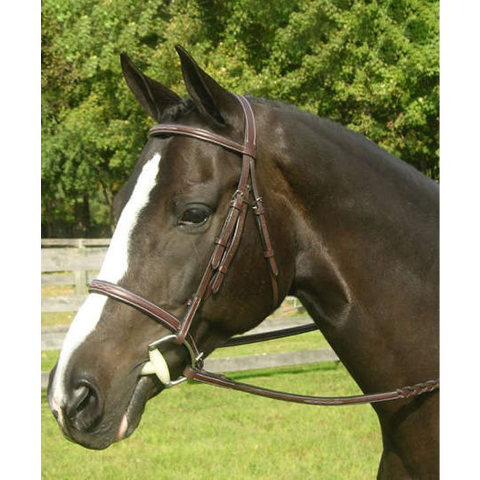 KL Select Red Barn Sovereign Fancy Raised Padded Noseband with Flash