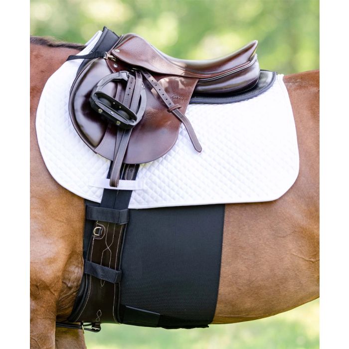 EquiFit Bellyband+