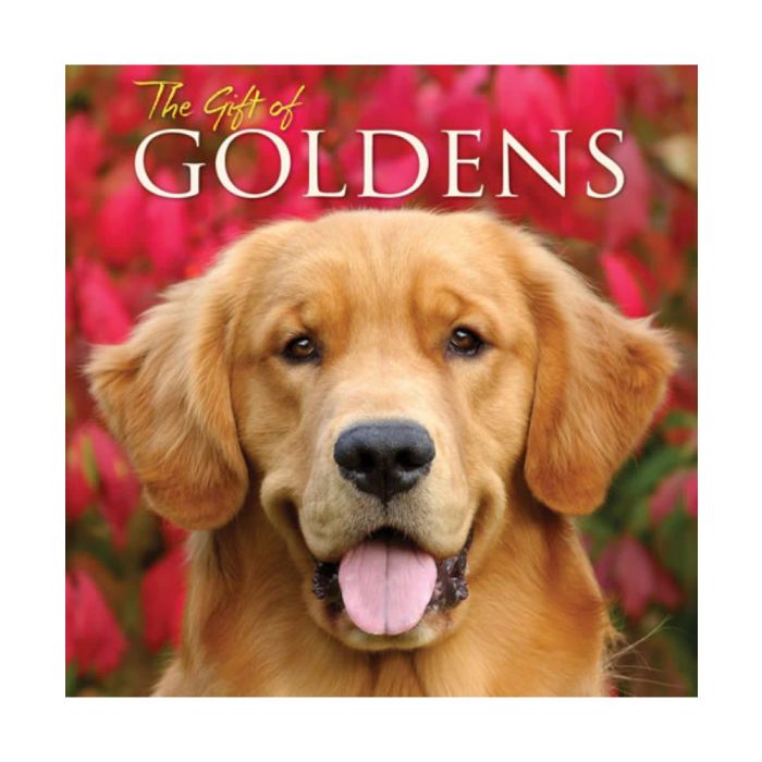 Book: The Gift Of Goldens