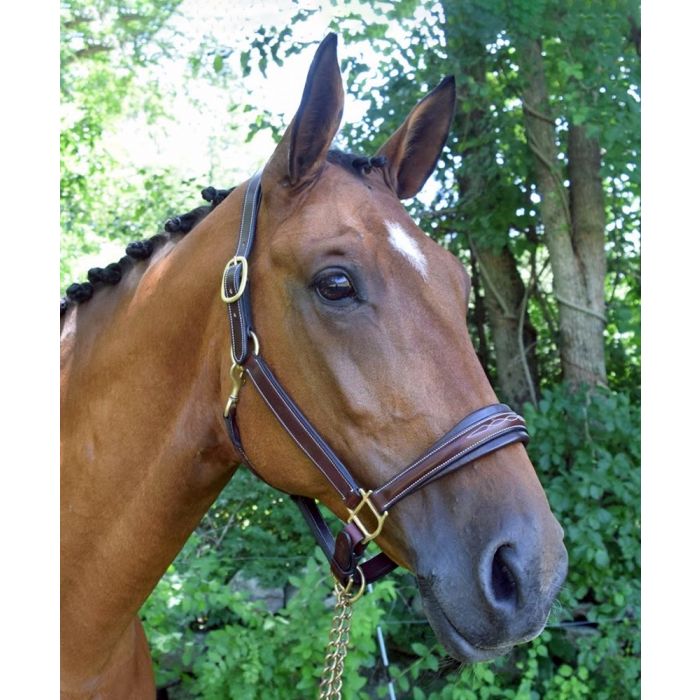 Red Barn Rachel Show Halter