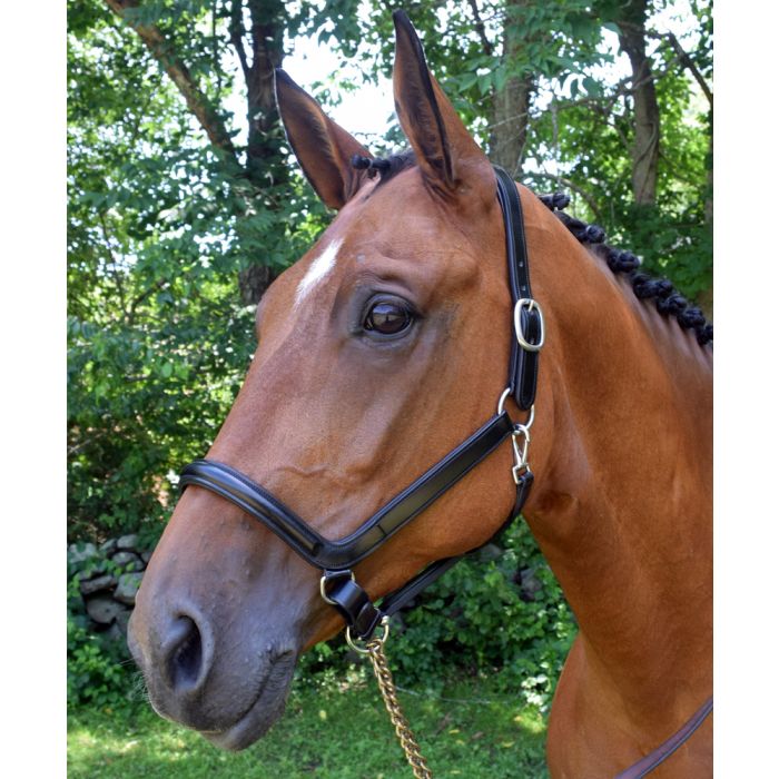 Red Barn Devon Ergonomic Halter