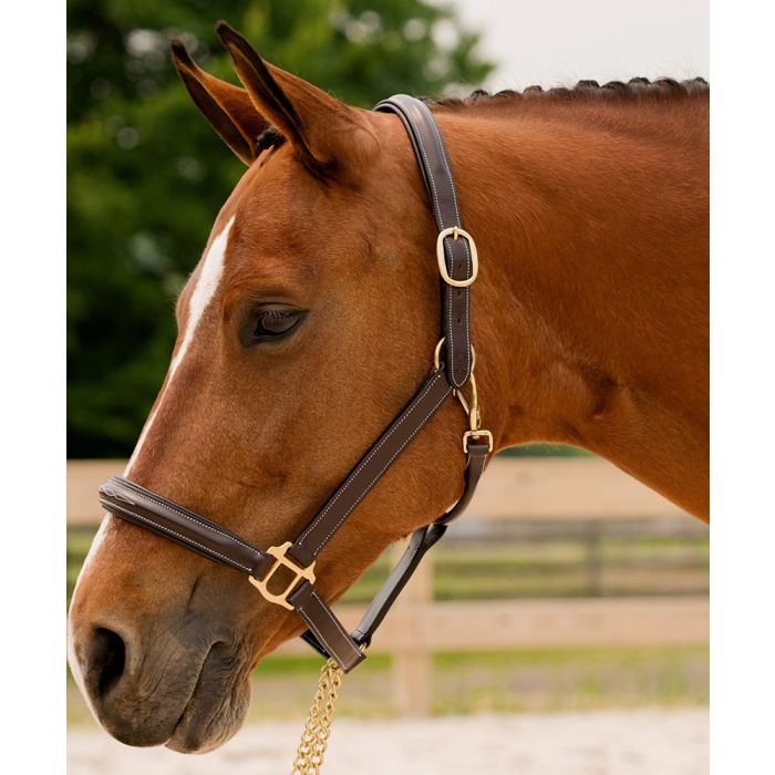 KL Select Black Oak Fern Fancy Raised Padded Halter