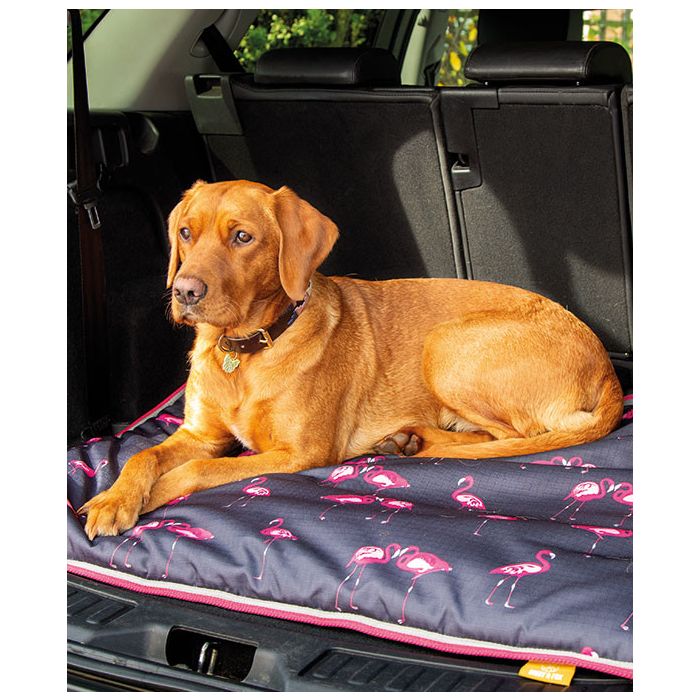 Digby & Fox Waterproof Dog Bed 60cm X 80cm