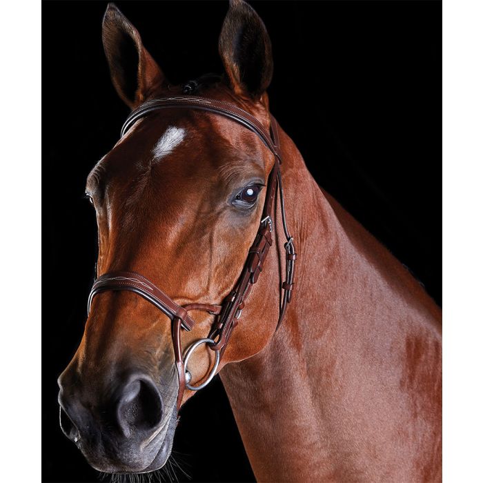 Collegiate Comfitec Fancy Raised Padded Bridle