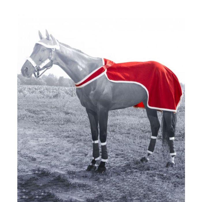 Tought 1 Santa Quarter Sheet