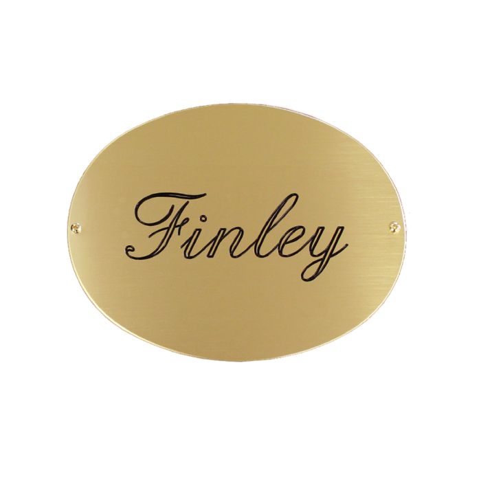 Oval Brass Trunk Plate 5.5" x 7"