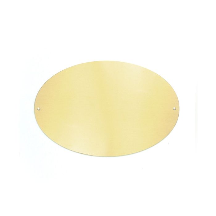 Oval Brass Trunk Plate (6" x 9")