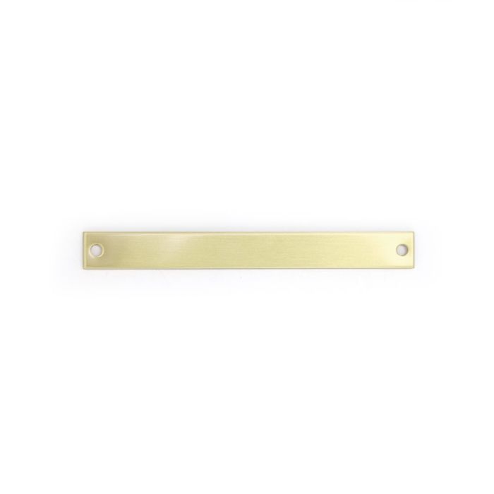 Narrow Rectangular Brass Halter Plate