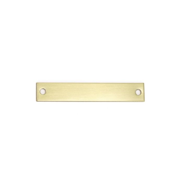 Rectangular Brass Pony Halter Plate