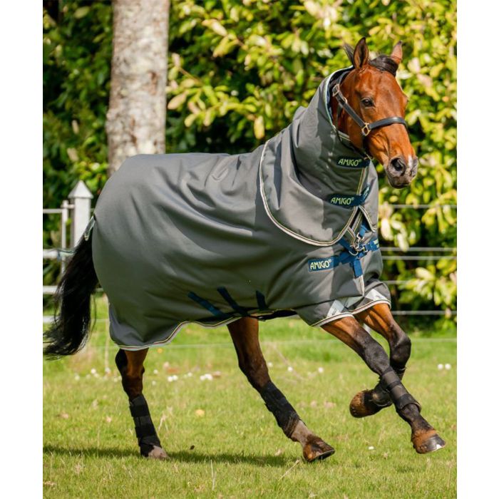 Amigo Bravo 12 Plus Horse Turnout Blanket (250g Medium)