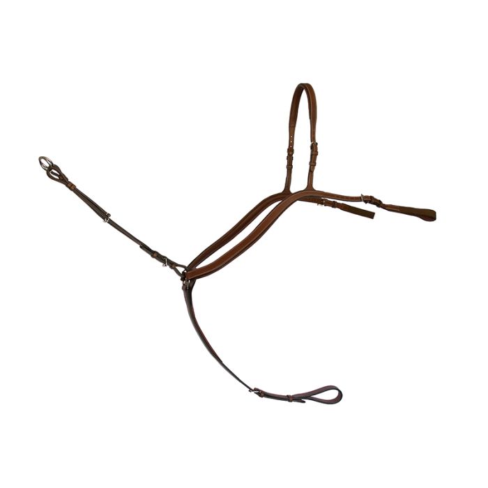 Arion Anatomic 3 Point Breastplate