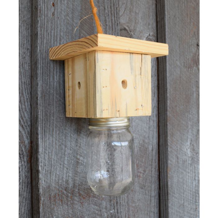 Carpenter Bee Trap