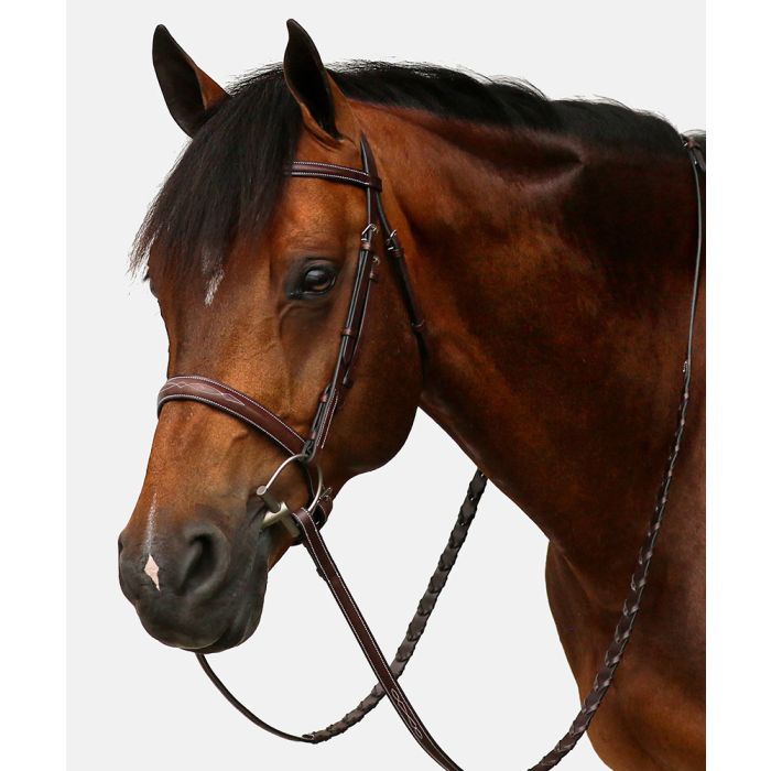 Equiline Fancy Raised Scott Stewart Hunter Bridle with Reins