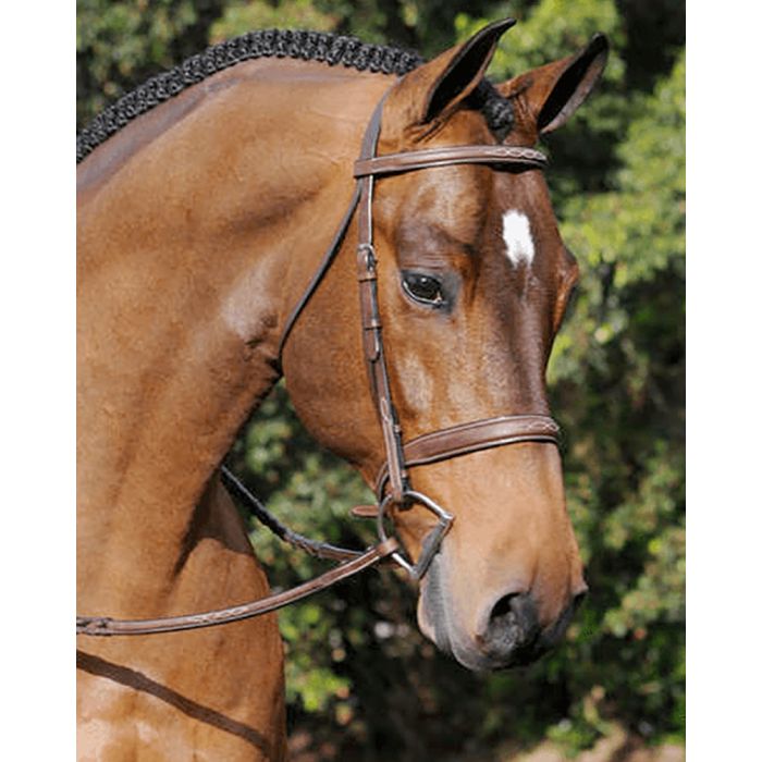 Arc De Triomphe Tribute Bridle with Raised Fancy Laced Reins