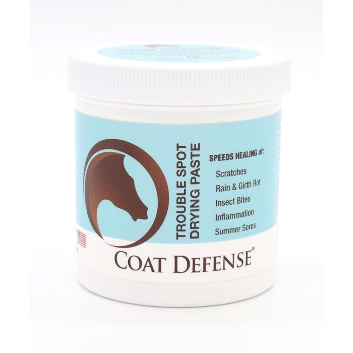 Coat Defense Trouble Spot Drying Paste 24oz