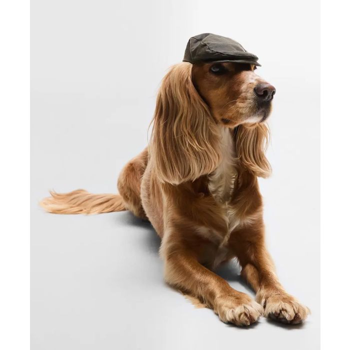 Barbour Dog Wax Flat Cap