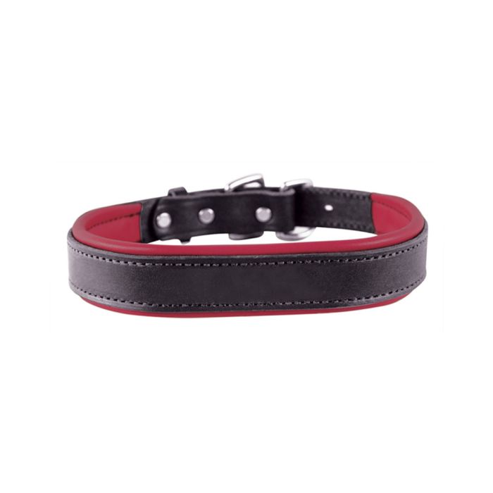 Perri's Padded Leather Dog Collar