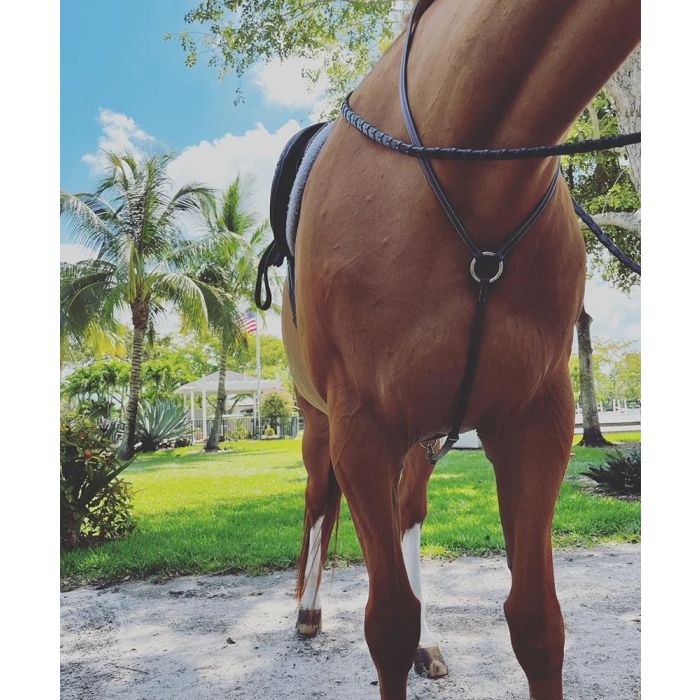Dzia Sport Equine Yoke