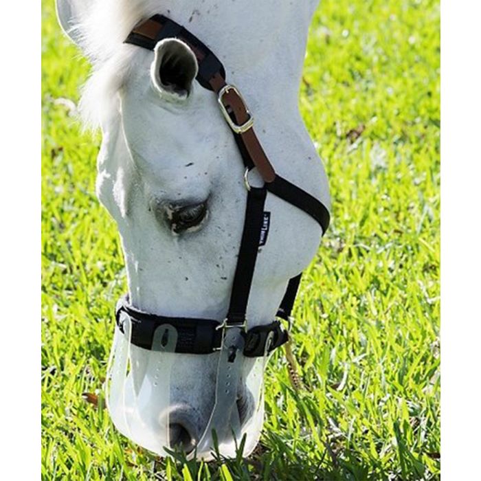 ThinLine Flexible Filly Slow Feed Grazing Muzzle