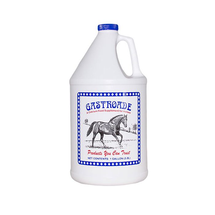 Gastroade Gallon