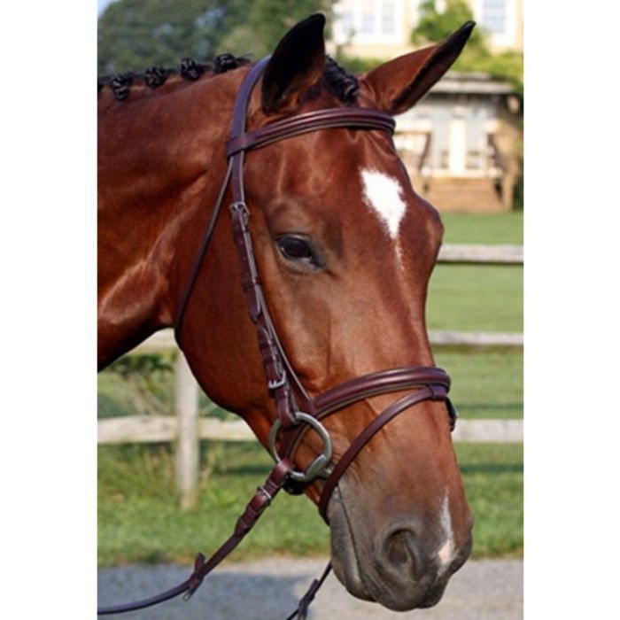 Nunn Finer Galway Bridle w/ Flash