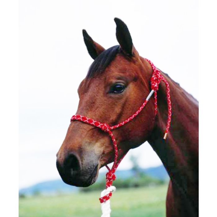 Double Diamond Rope Halter 5/16"