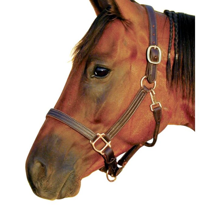 Triple Stitched 1" Deluxe Track Halter w/Snap