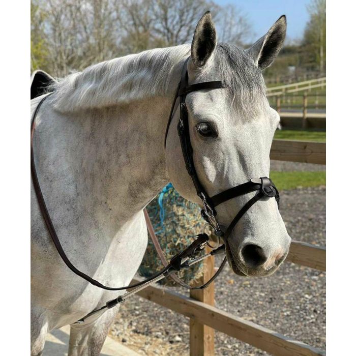 ReinRite Pony Training Aid