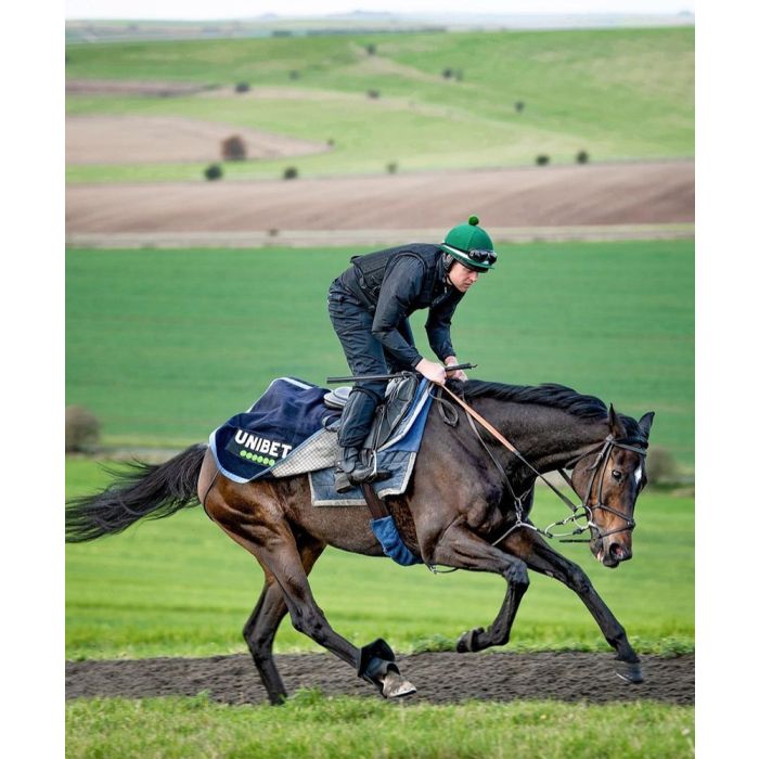 ReinRite Racing Training Aid