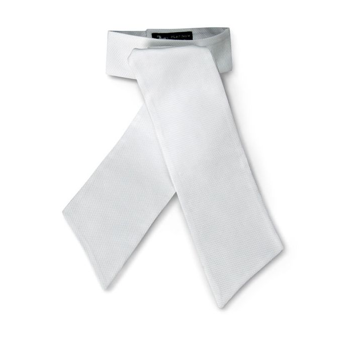 RJ Classics Radnor Stock Tie