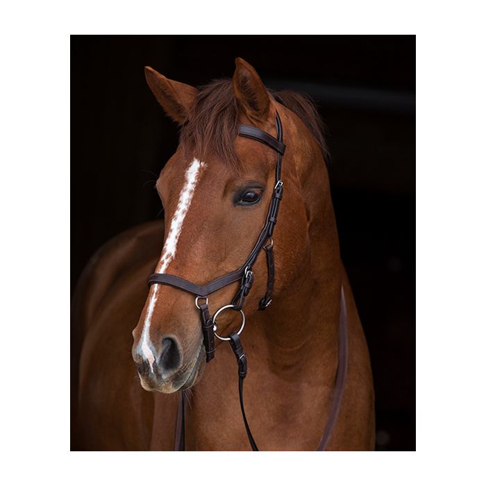 Rambo Micklem Original Competition Bridle