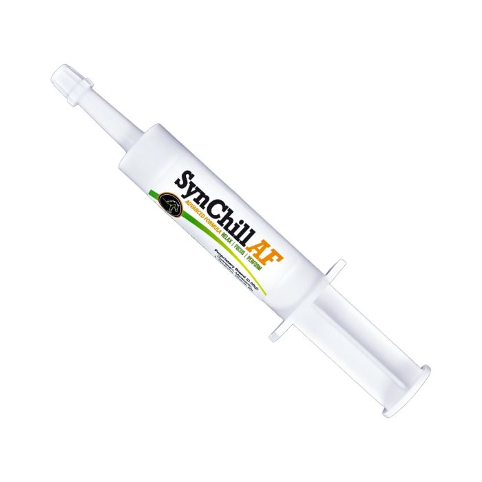 SynNutra Synchill AF Advance Formula (10g Syringe/Tube)