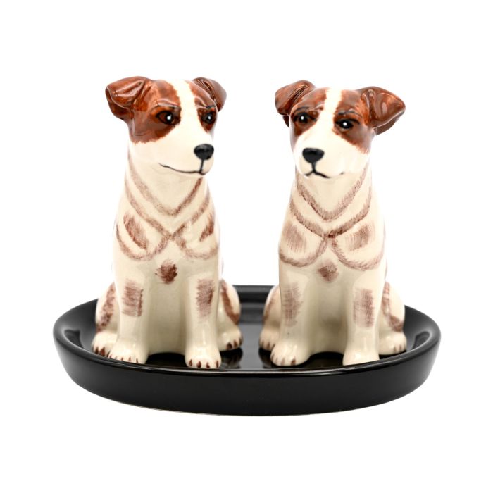 Hand Painted Salt & Pepper Shaker with Ceramic Tray