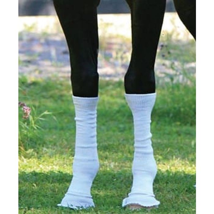 Silver Whinnys Sox For Horses (Set of 4)