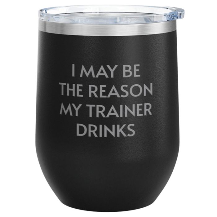 Unsustainable Apparel Stainless Steel Wine Tumbler (12oz)