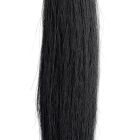 Champion Full Horse Tail - Horse Size Black