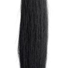 Champion Full Tail - Pony Size Black