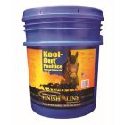 Kool Out Clay Poultice 45lb