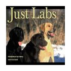 Book: Just Labs