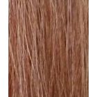 Champion Double Horse Tail Flaxen