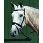 Collegiate Padded Raised Dressage Flash Bridle With Rubber Reins