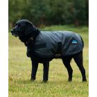 Weatherbeeta ComFiTec Classic Waterproof Dog Coat