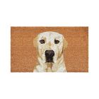 Calloway Door Mat (17x29)